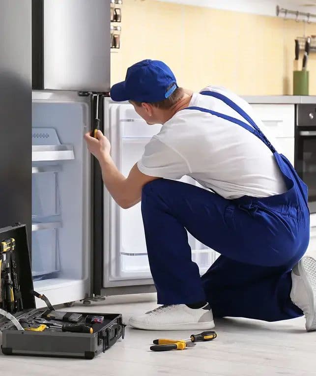 New Mexico New Mexico