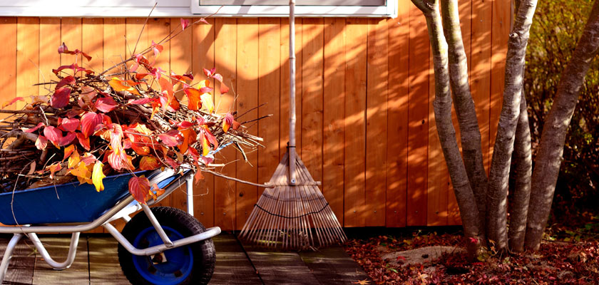 Autumn Home Maintenance: 3 Essential Monthly Tasks