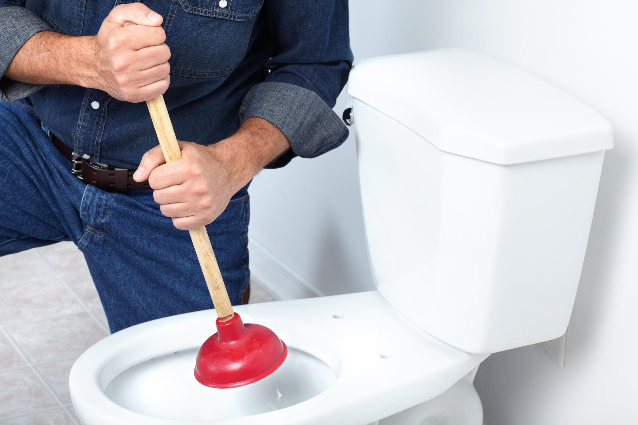 Unclog Toilet Using Plunger | SHW Blog