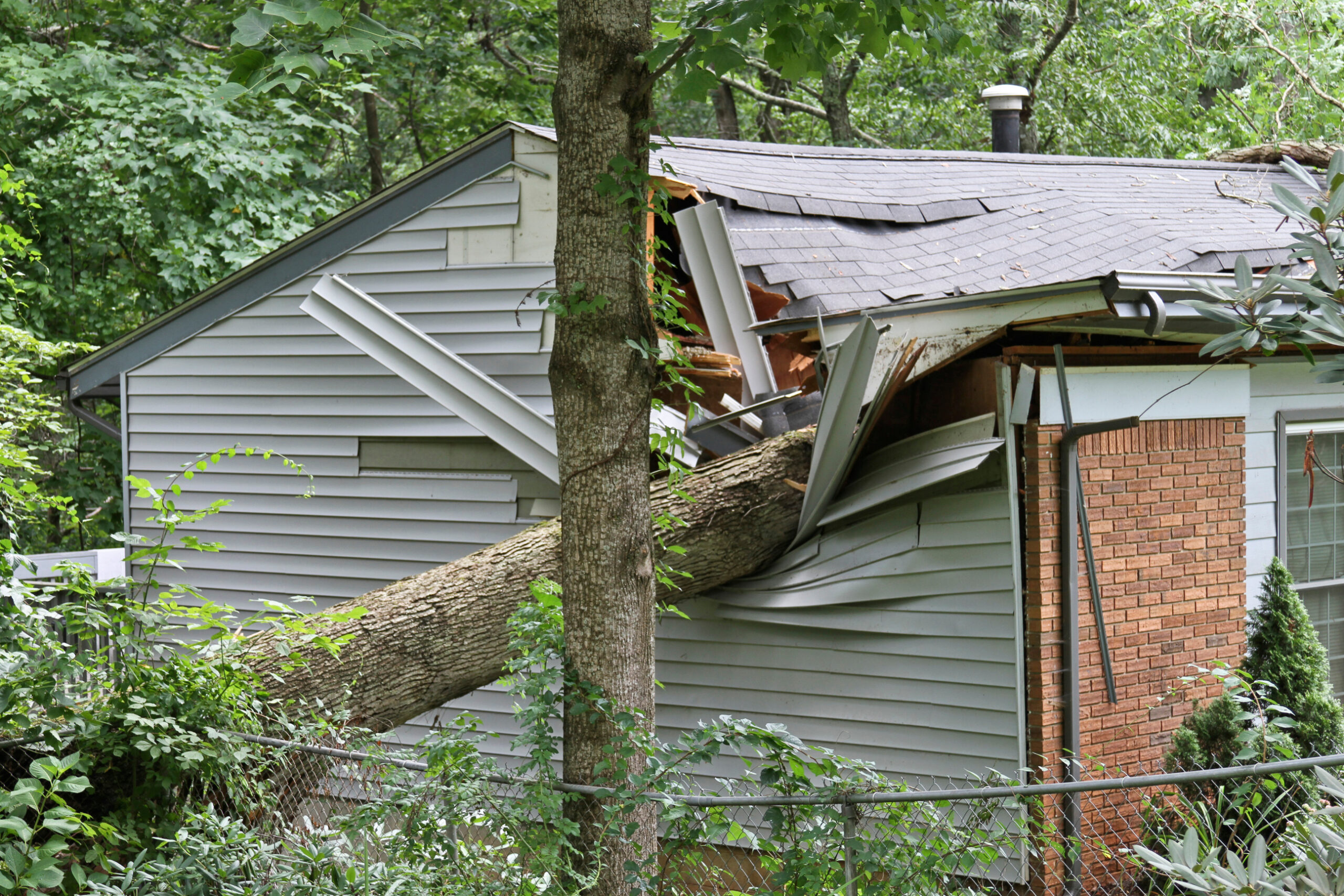 House with tree damage. | SHW Blog