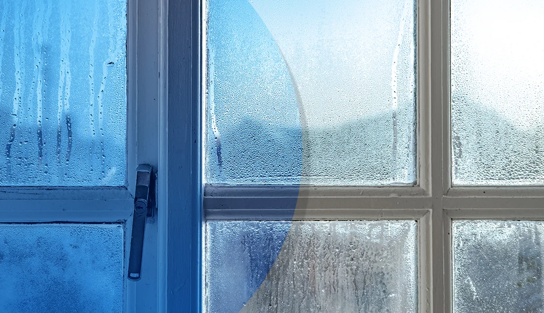 Protects Your Home From Moisture