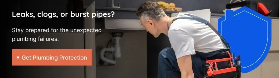 Leaks clogs or burst pipes