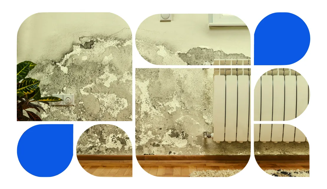 Does Home Warranty Cover Water Damage