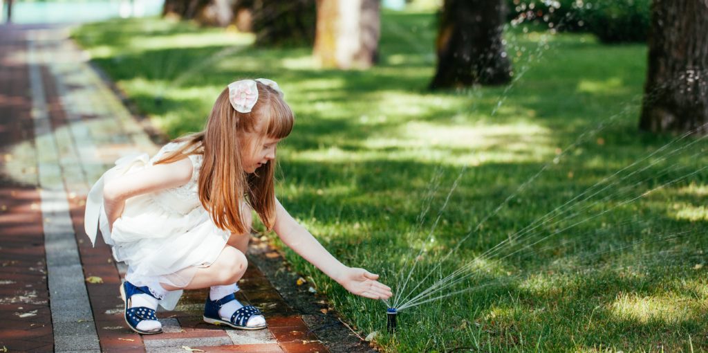 Follow our irrigation sprinkler checklist and how to test your sprinkler. | SHW Blog